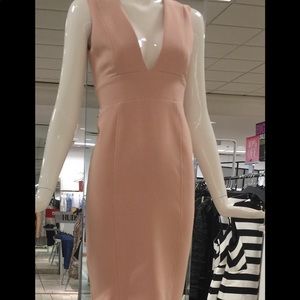 Brand NWT Sexy Nude Plunge Dress!!!